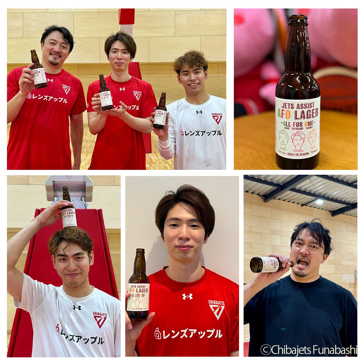 【千葉ジェッツコラボ】AFOラガー12本セット - こまいぬブルワリー ネットショップ