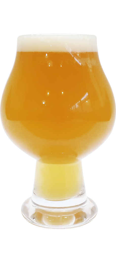 柏太陽 -Hazy IPA- (4本セット)