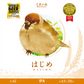 はじめ -IPA- (4本セット)