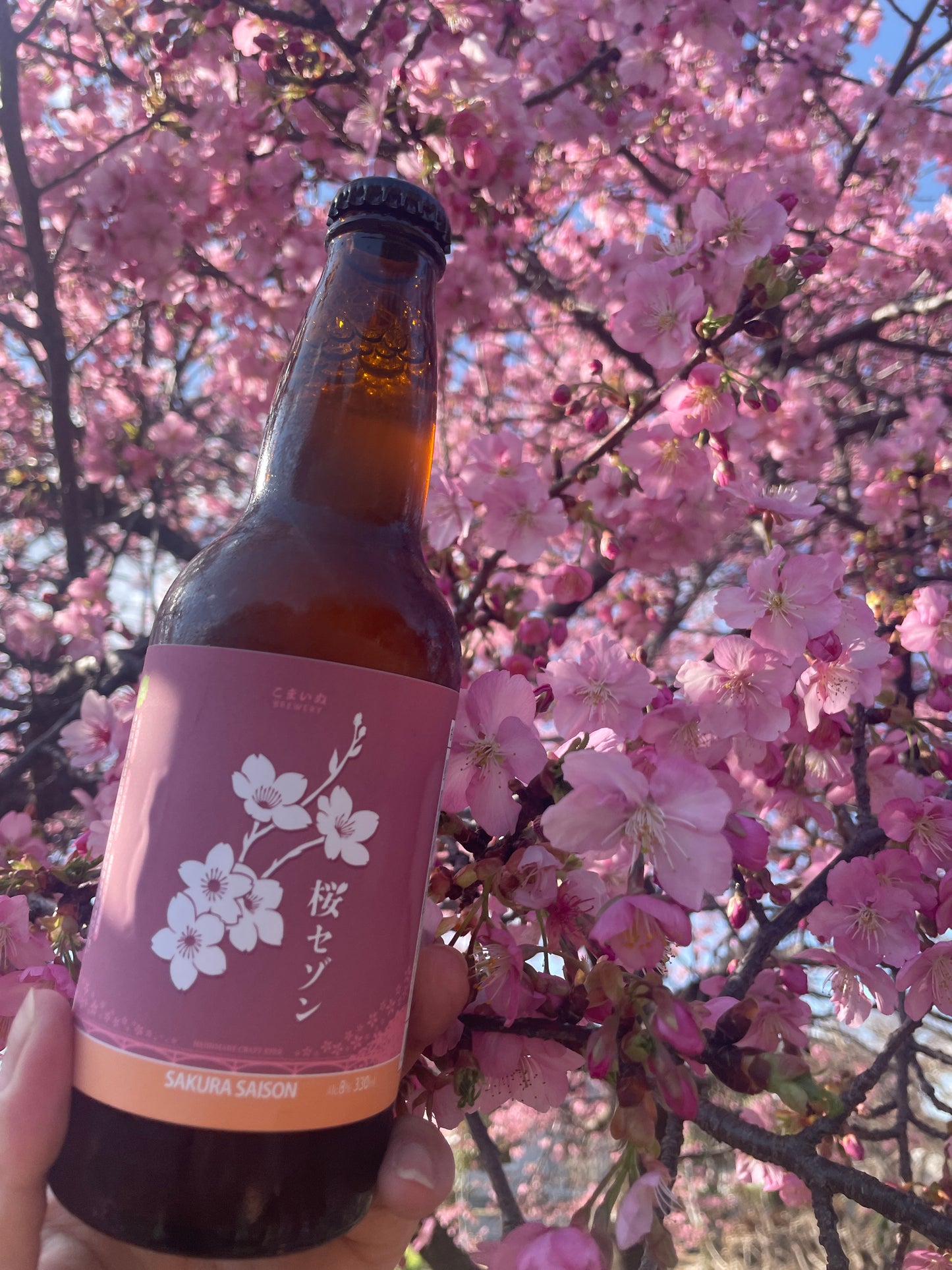 桜セゾン(セット用)